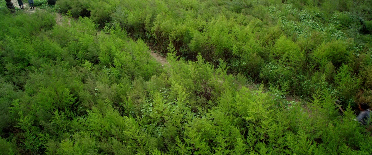 Zhuo yao ji screenshot 1
