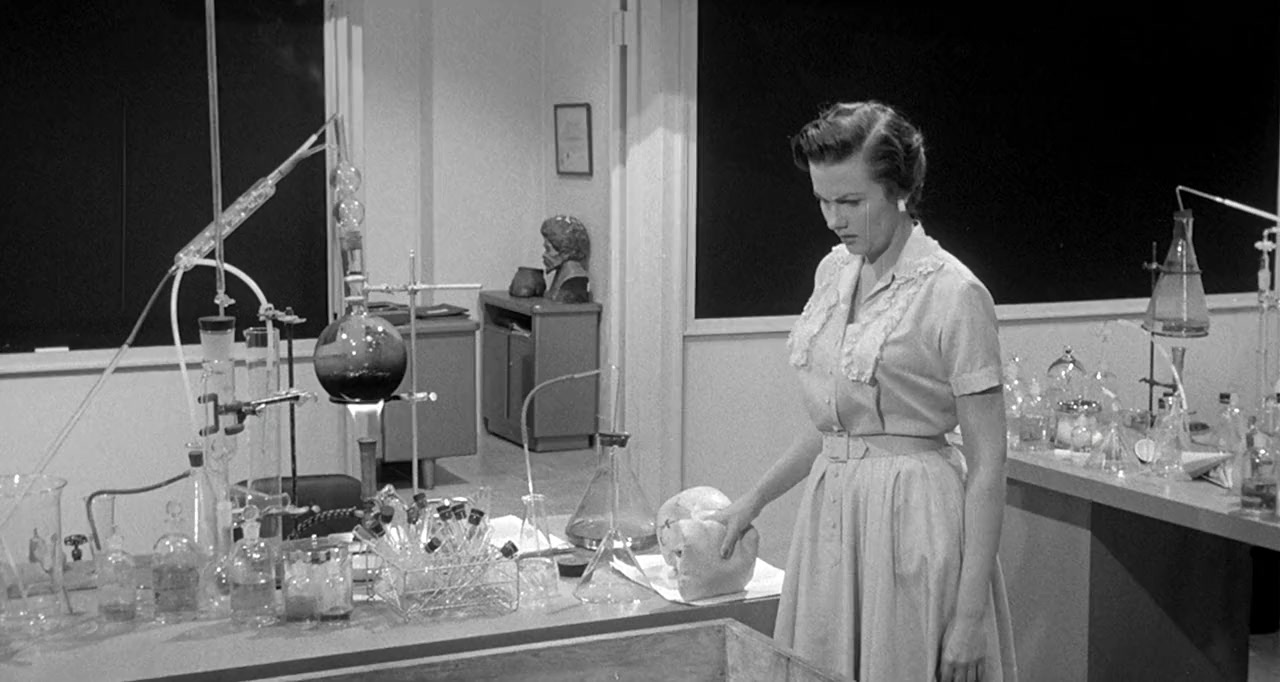 Monster on the Campus screenshot 3