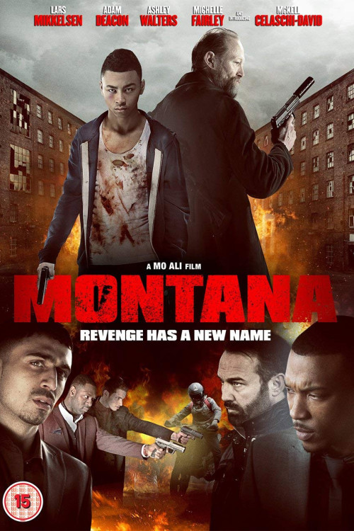 Montana (2014) poster