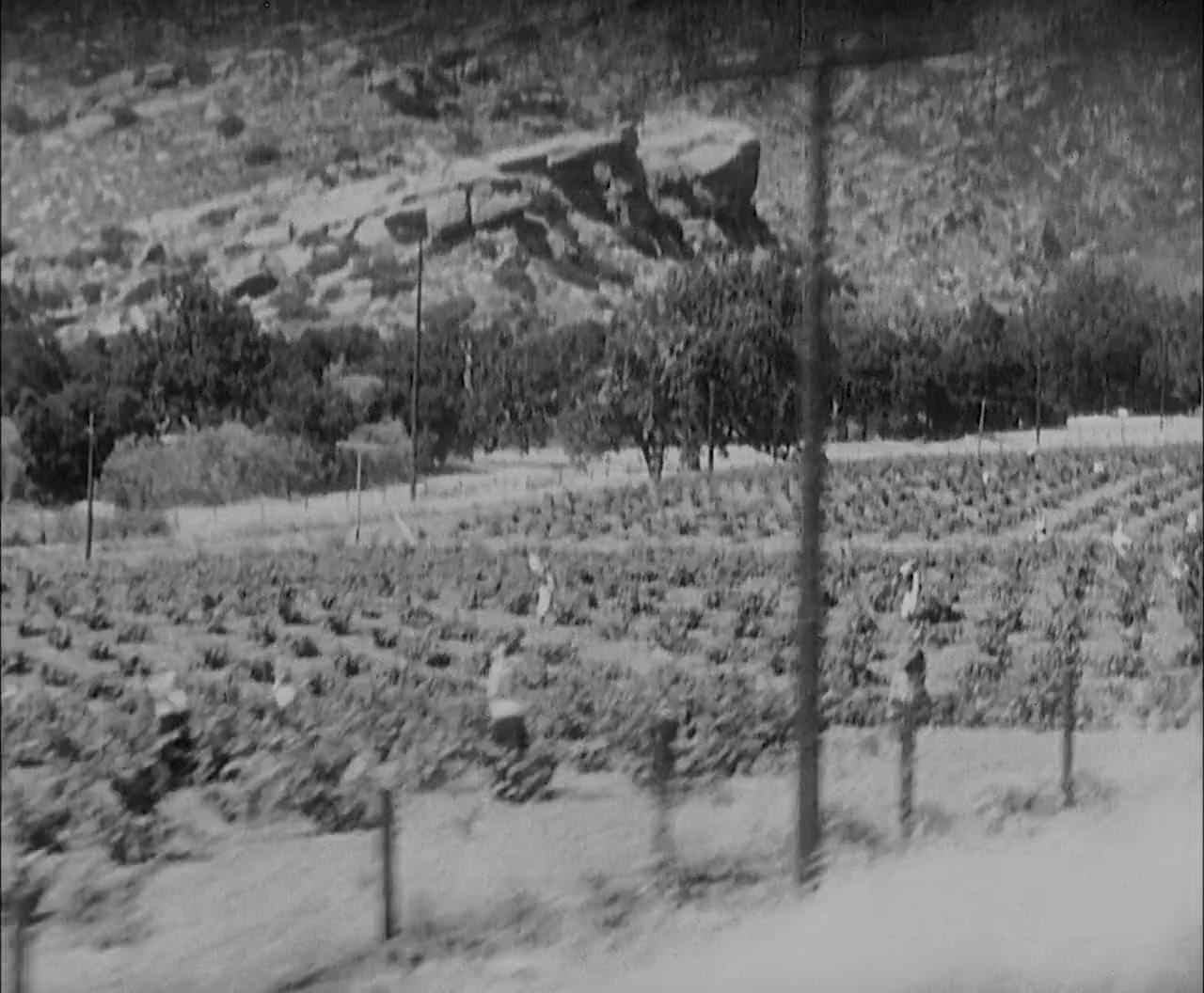 Monte Carlo screenshot 2