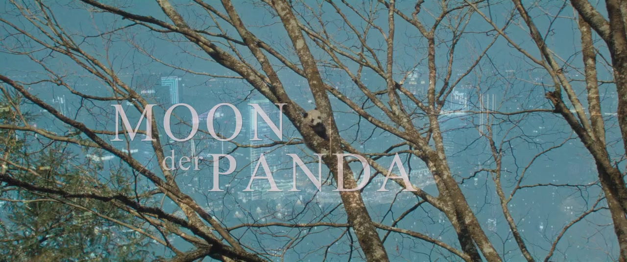 Moon le panda screenshot 1