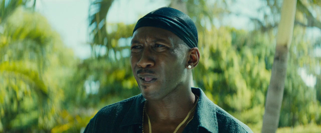 Moonlight screenshot 2