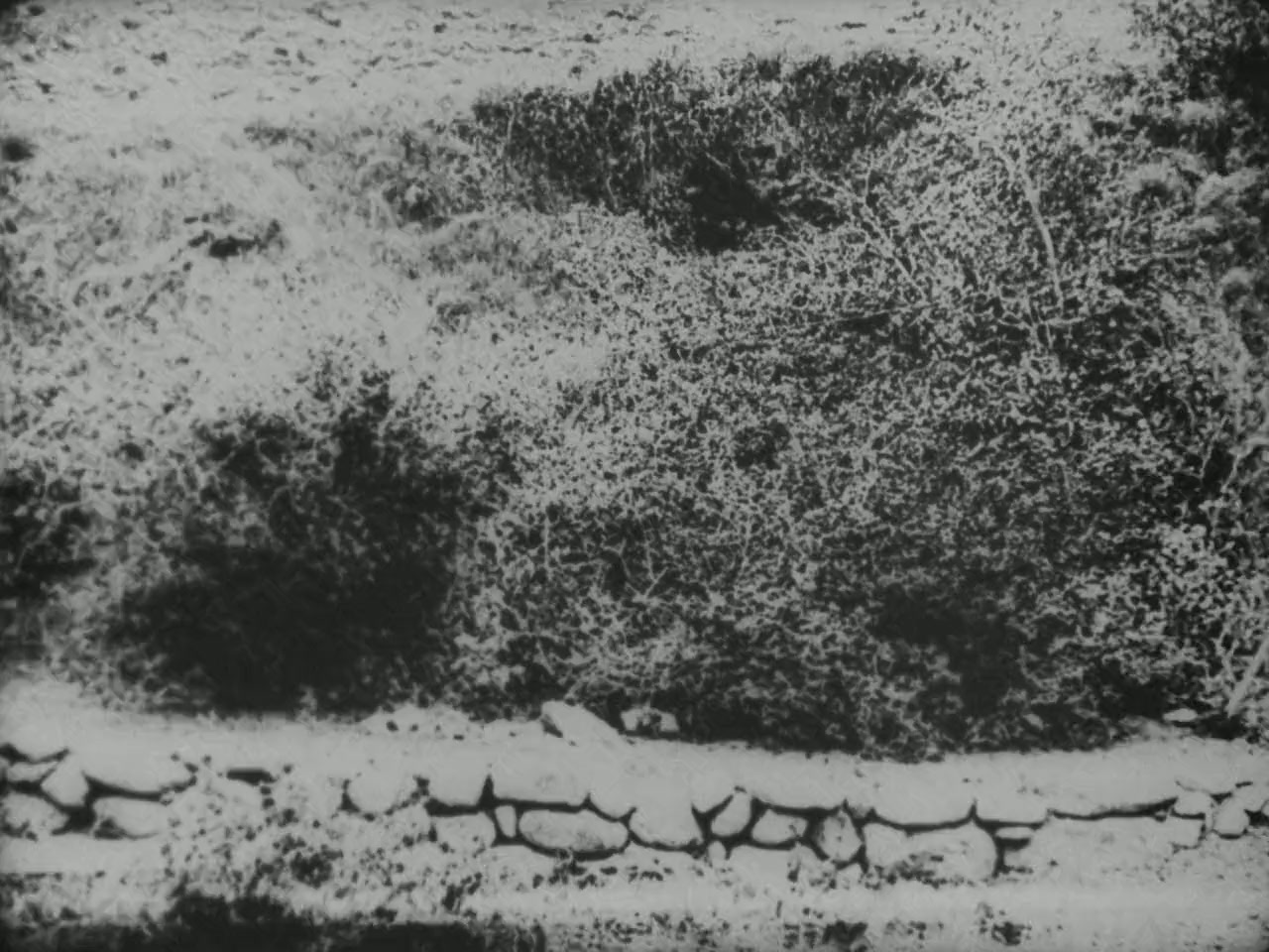 Moonshine screenshot 1