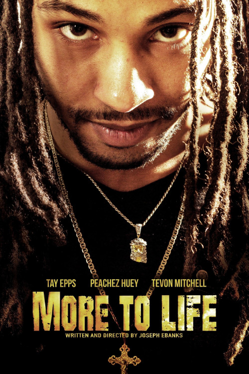 More to Life (2020) poster