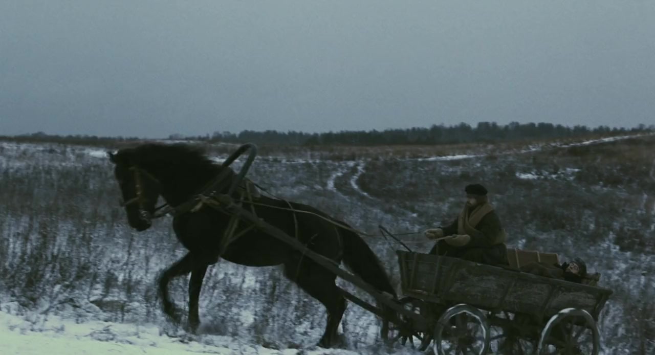 Morfiy screenshot 3