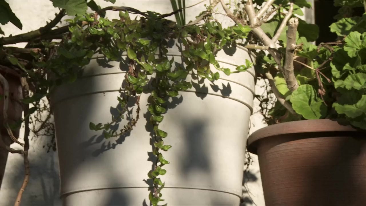 Mosca screenshot 1