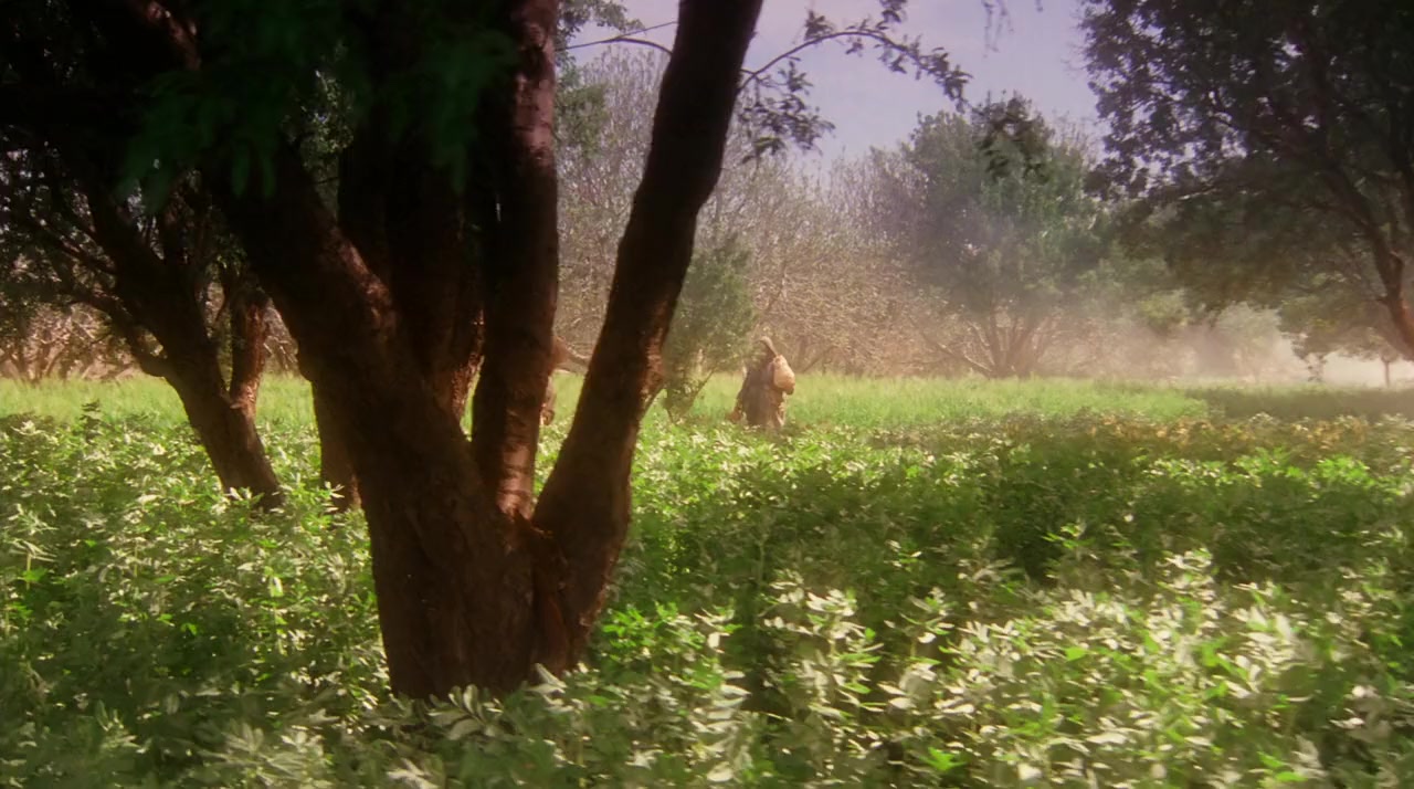 Moses screenshot 2
