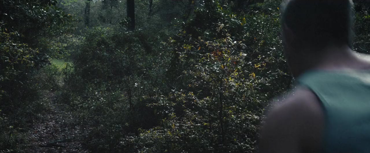 Moss screenshot 3