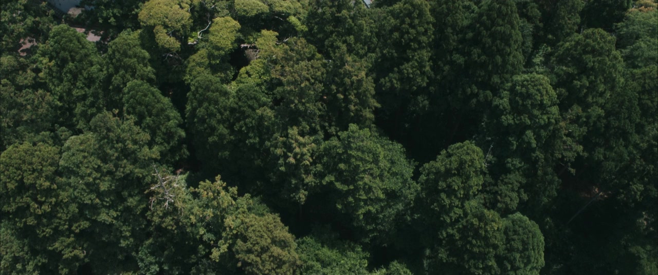Bosei screenshot 2