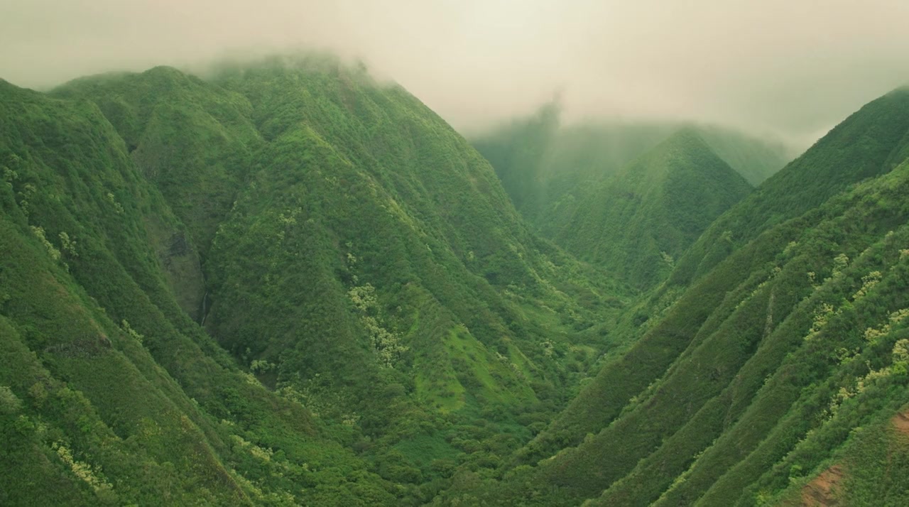 Kuleana screenshot 2
