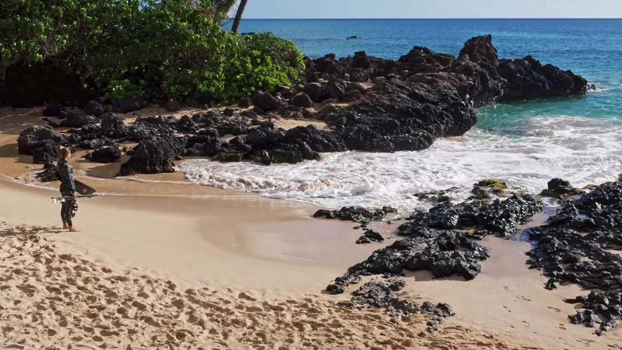 Maui Shark Mystery screenshot 2