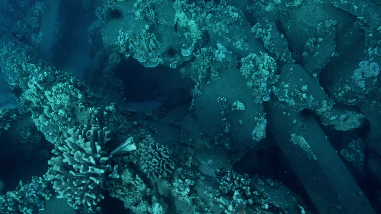 Maui Shark Mystery screenshot 3