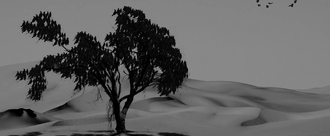 Maverick: Manhunt Brazil screenshot 2