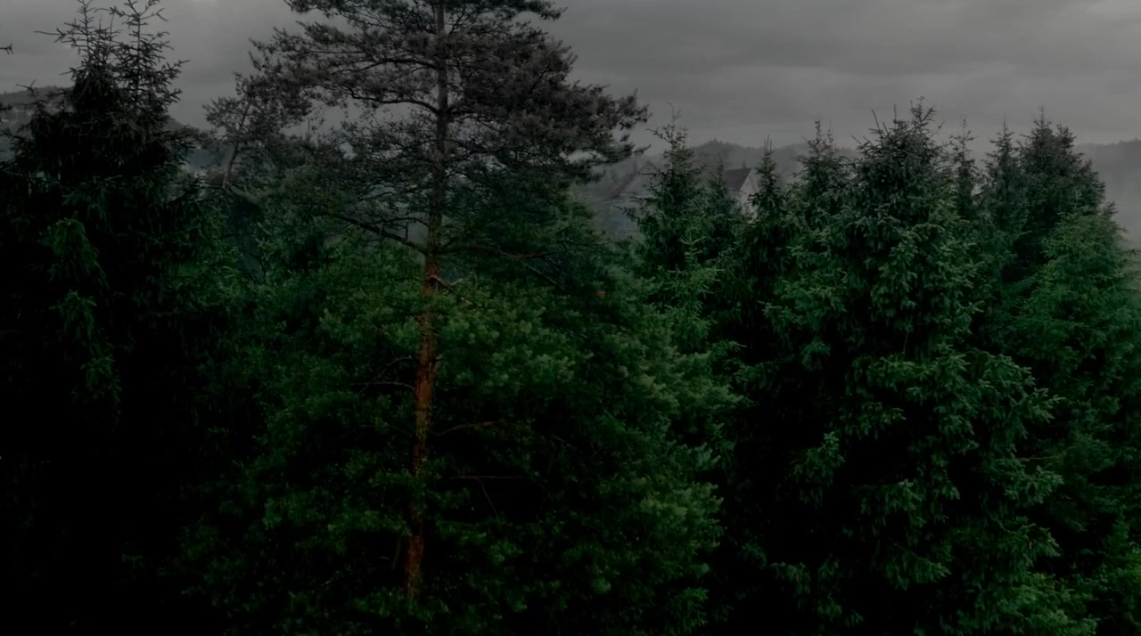 Maximum Ride screenshot 1