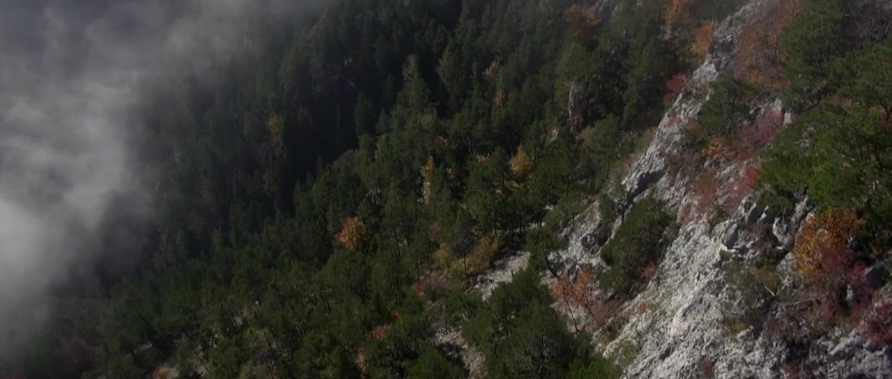 La vie nous appartient screenshot 3