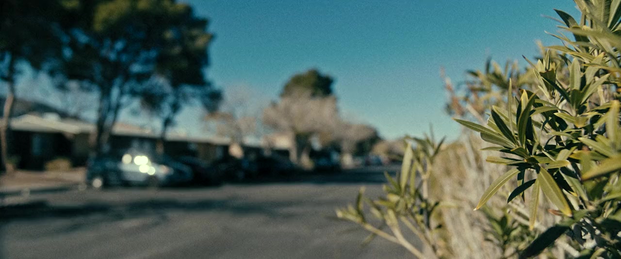 Maybe Tomorrow screenshot 3