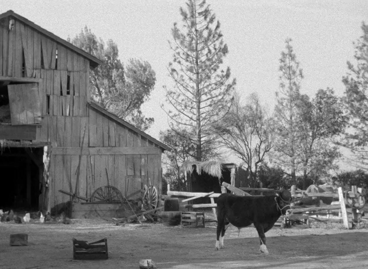 Ma and Pa Kettle at Home screenshot 1