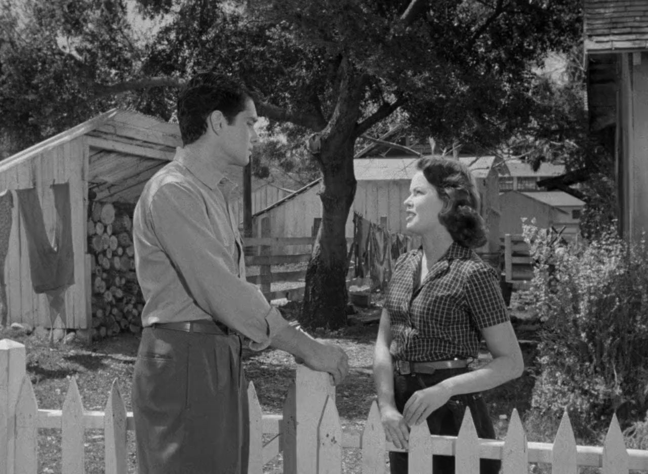 Ma and Pa Kettle at Home screenshot 3
