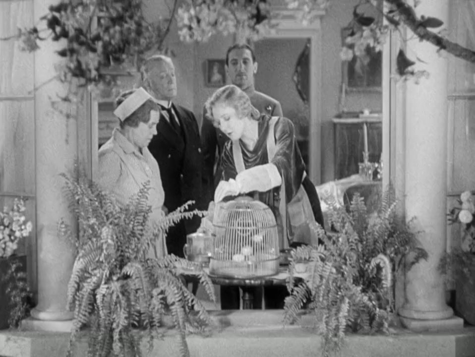 Madam Satan screenshot 2