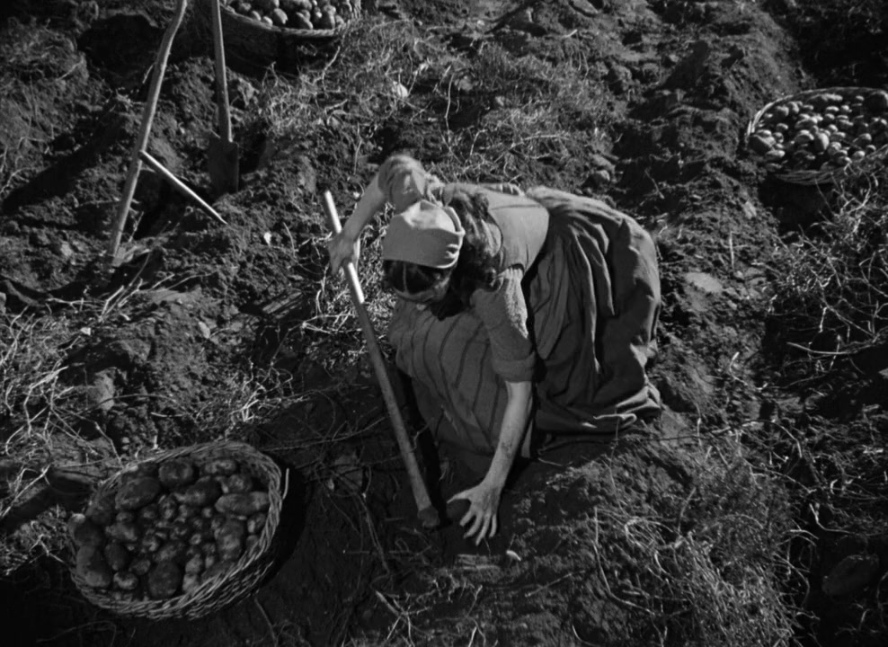 Madame Bovary screenshot 1