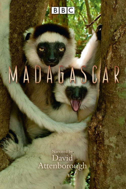 Madagascar (2011) poster