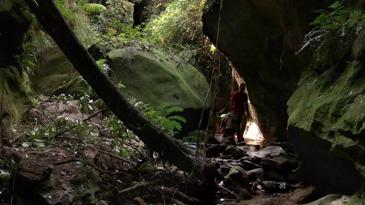 Madagascar: The Lost Makay screenshot 3