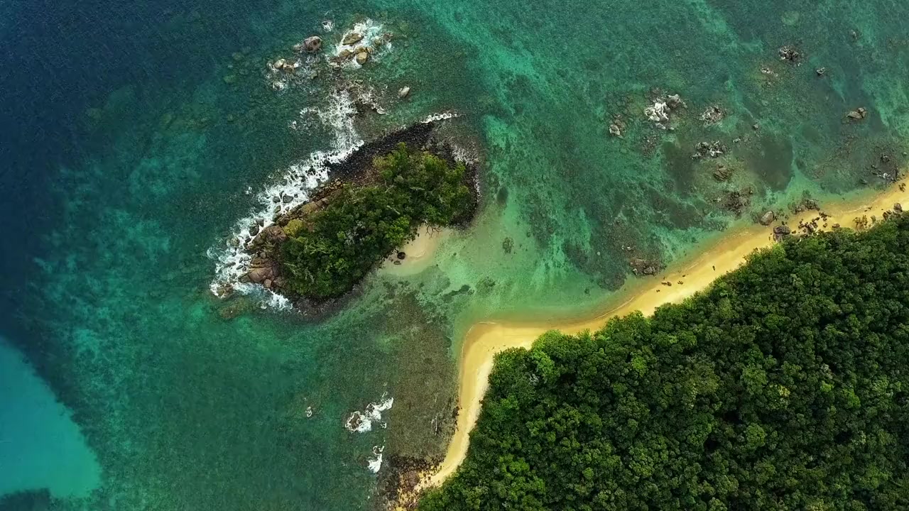 Madagascar: Africa's Galapagos screenshot 2