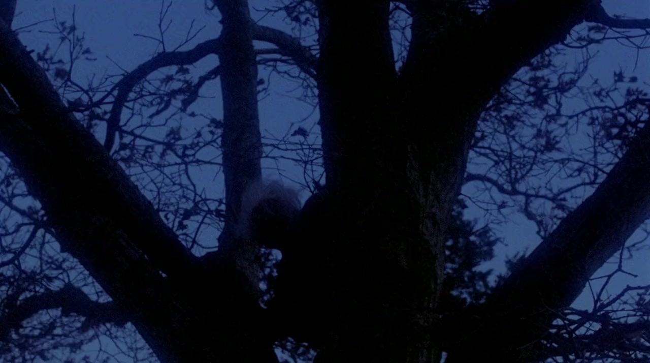 Madman screenshot 2