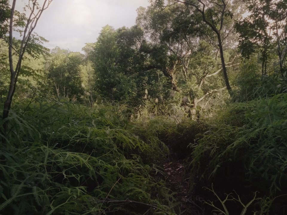 Magalhães screenshot 1