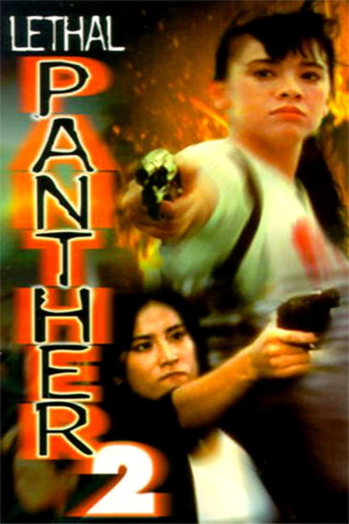 Magkasangga sa batas (1993) poster