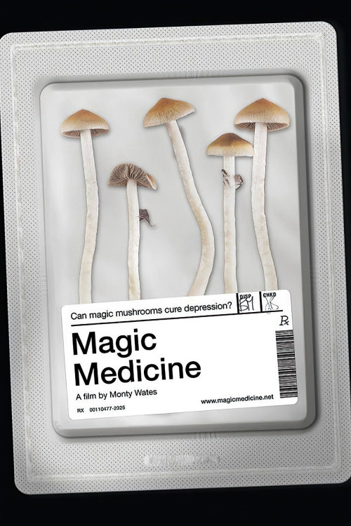 Magic Medicine (2018) poster