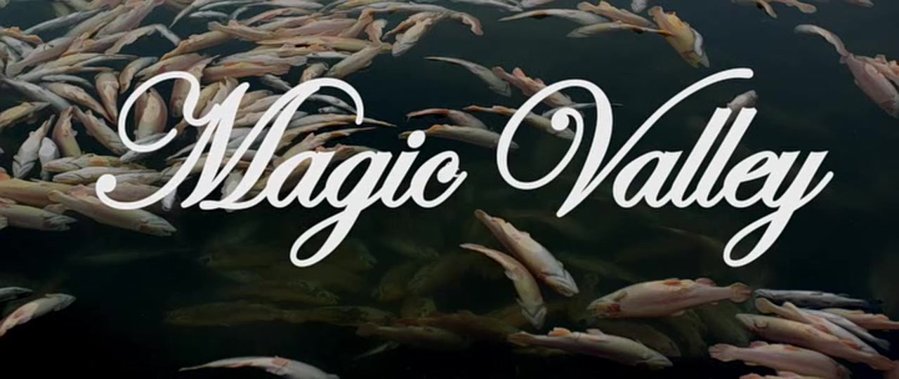 Magic Valley screenshot 2