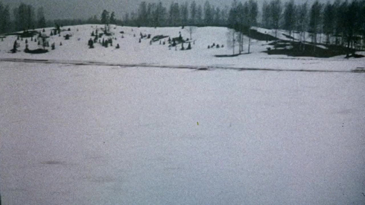 Maid in Sweden screenshot 3