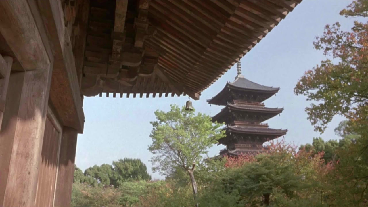 Maiko haaaan!!! screenshot 1