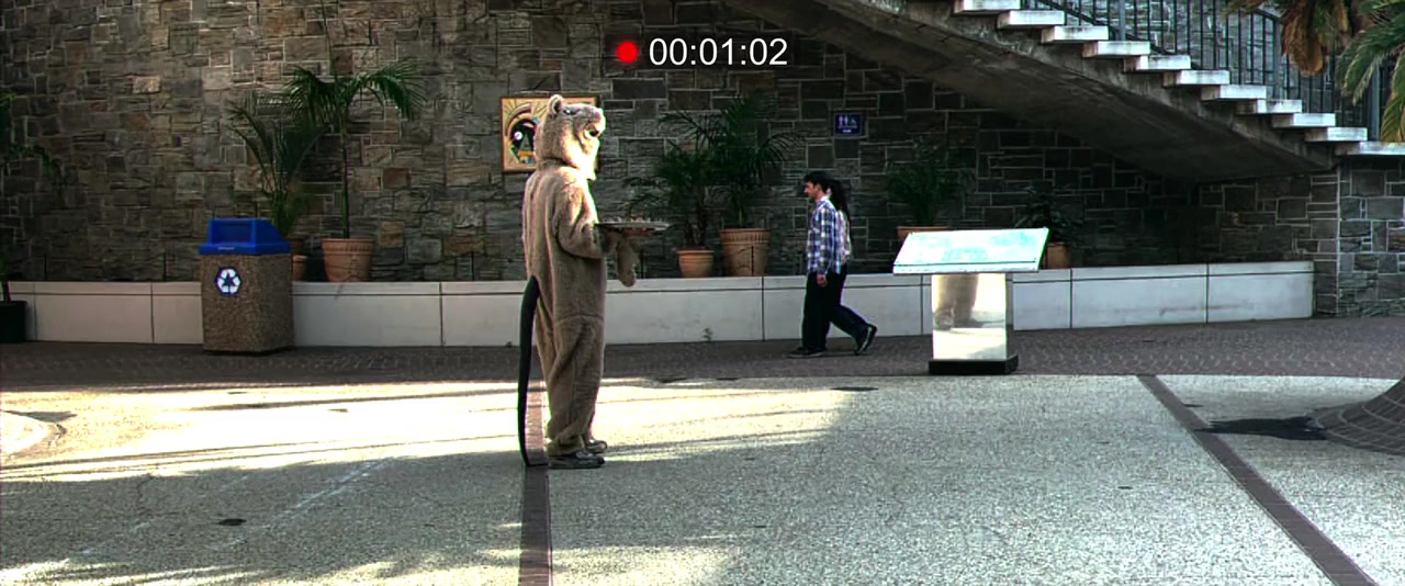 Mainstream screenshot 1