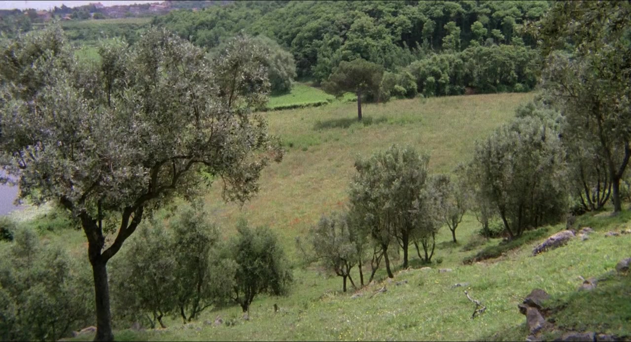 Maladonna screenshot 2
