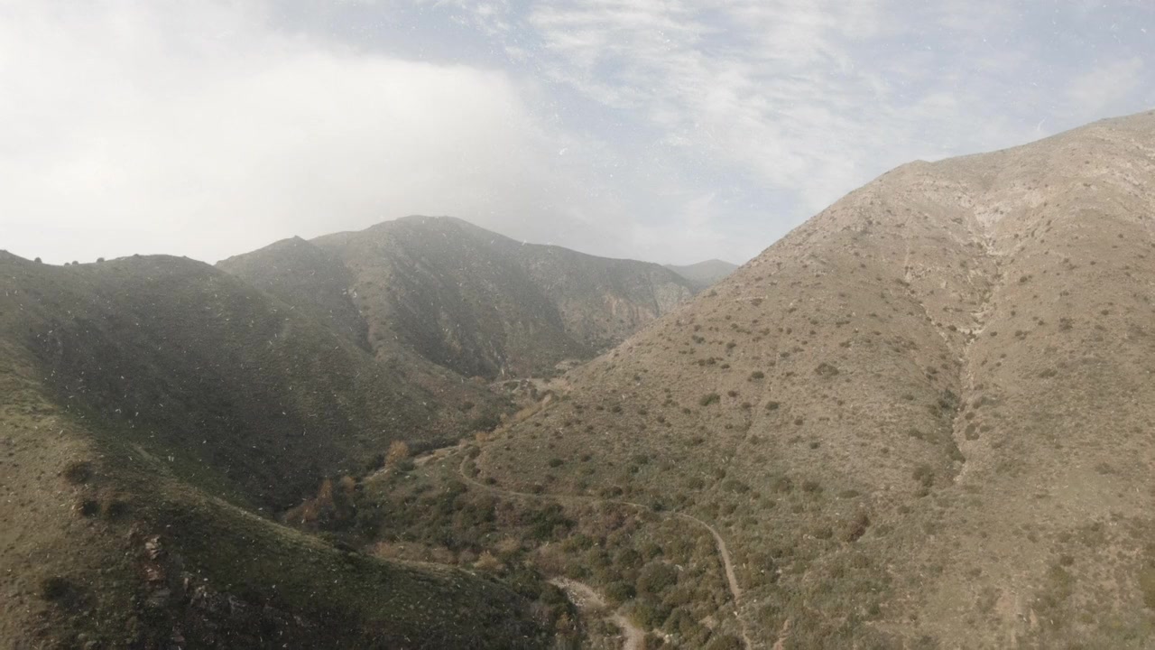 Malibu Horror Story screenshot 2