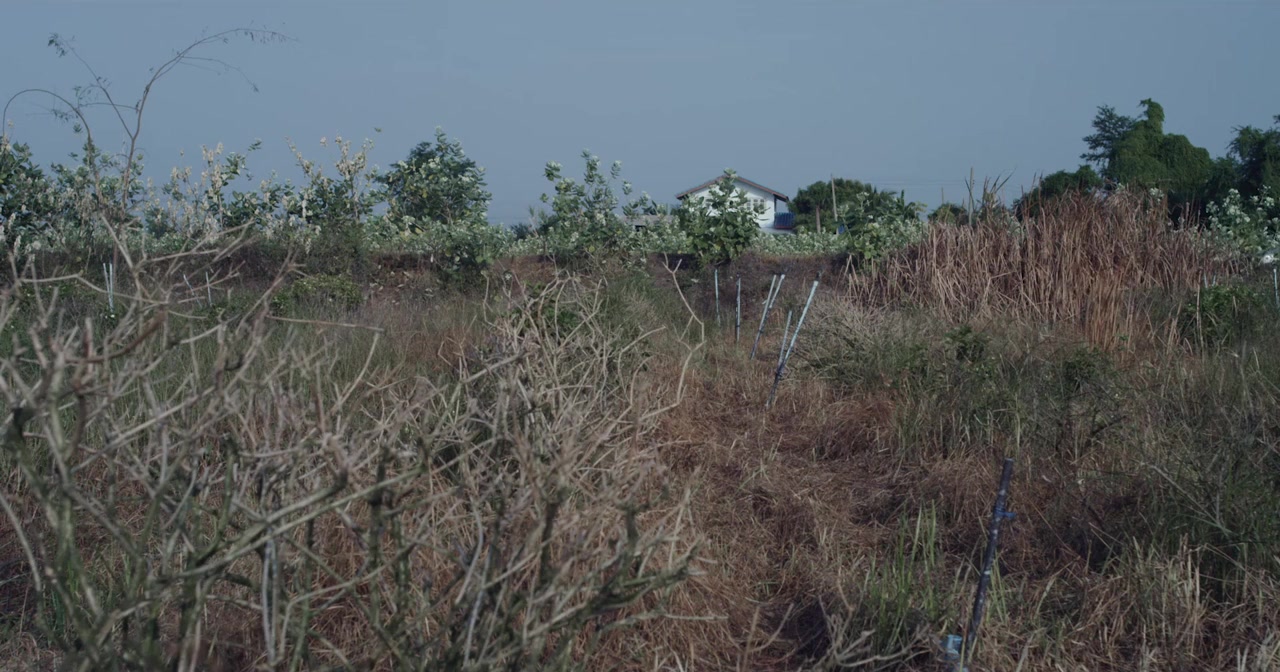 Malila: The Farewell Flower screenshot 2