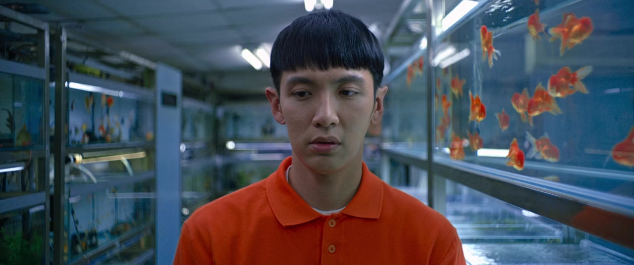 Mama Boy screenshot 2
