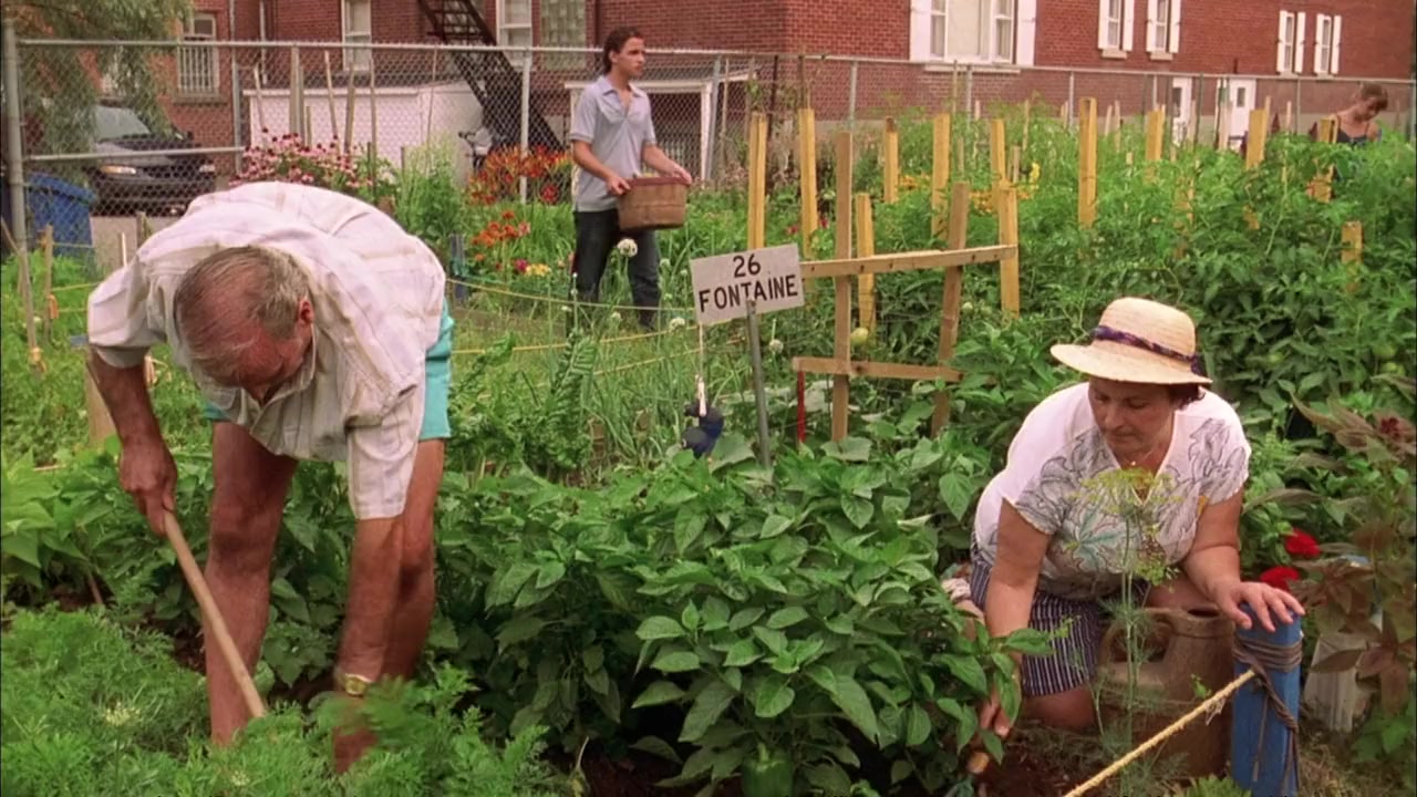Mambo Italiano screenshot 2