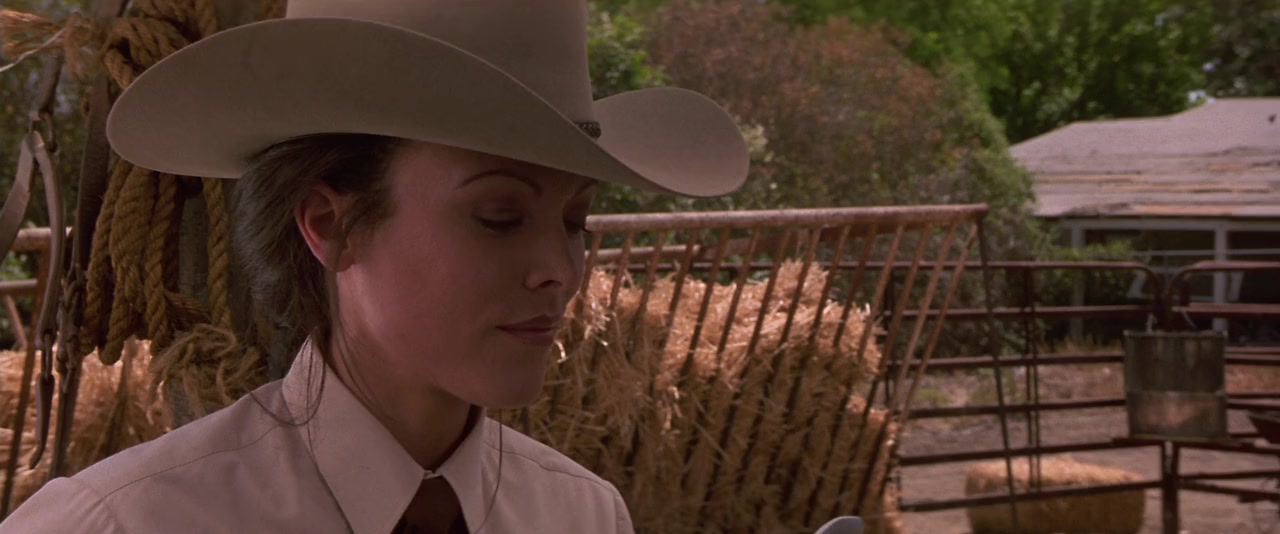 Man of the House screenshot 1