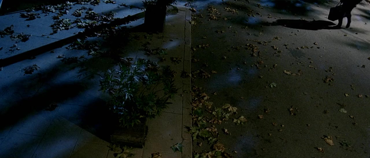 L'homme du train screenshot 3