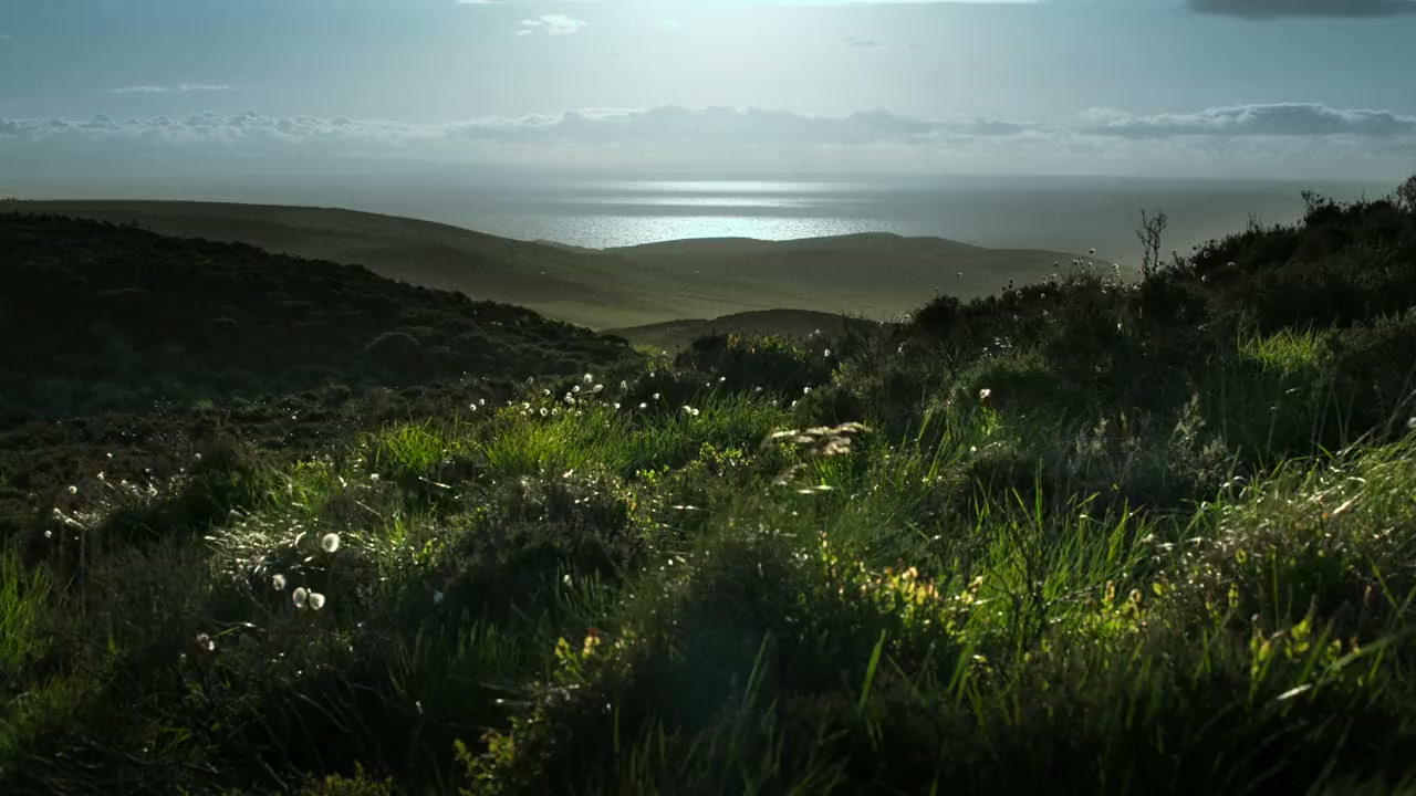 Paul McCartney: Man on the Run screenshot 2