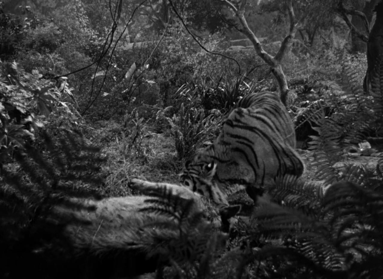 Man-Eater of Kumaon screenshot 1