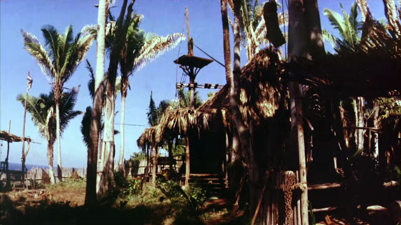 Man Friday screenshot 1