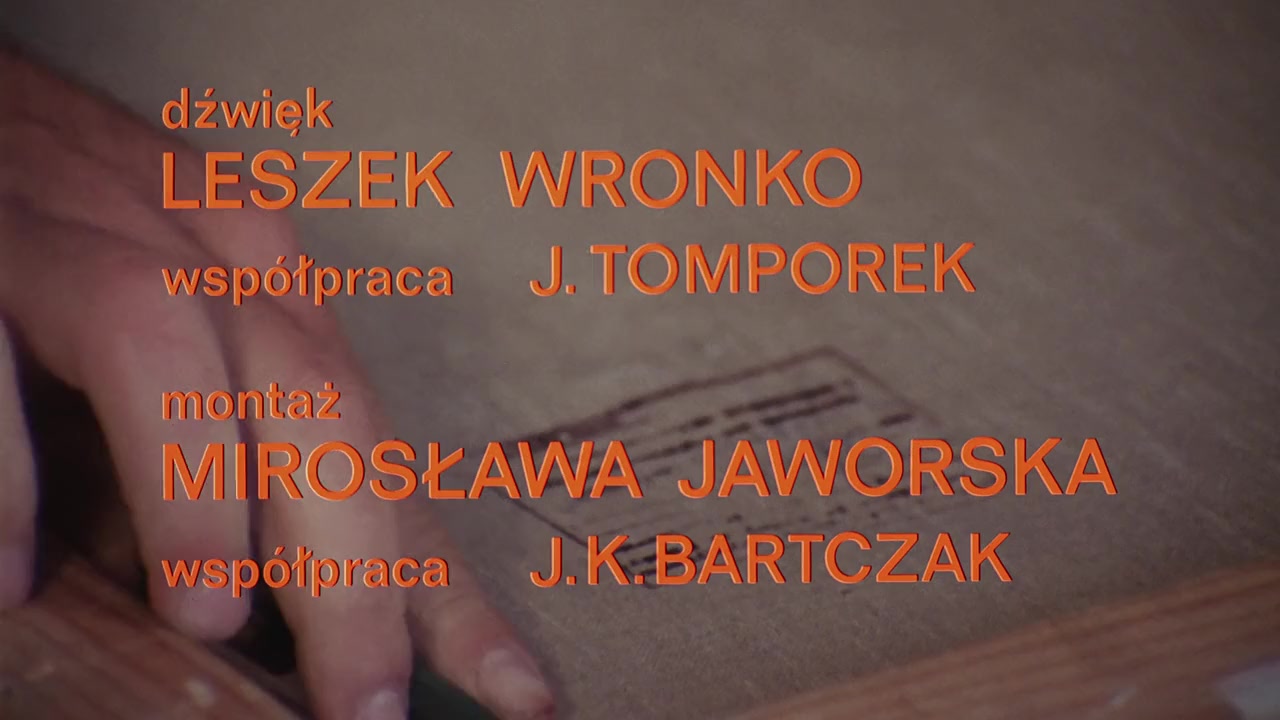 Poszukiwany, poszukiwana screenshot 2