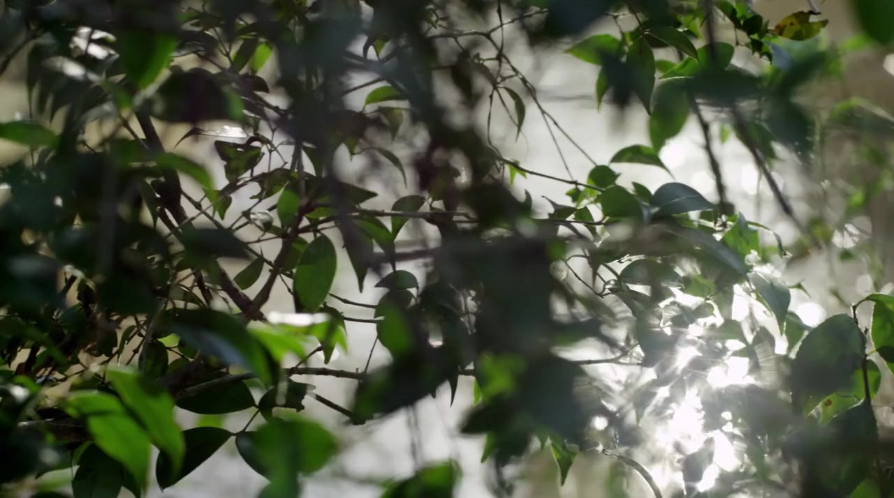 Mangoré screenshot 2