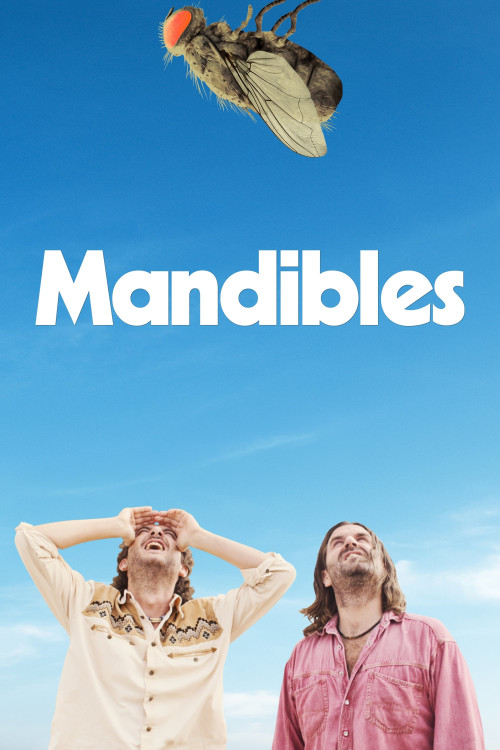 Mandibules (2020) poster