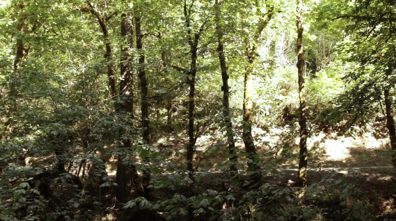 Manos Returns screenshot 1