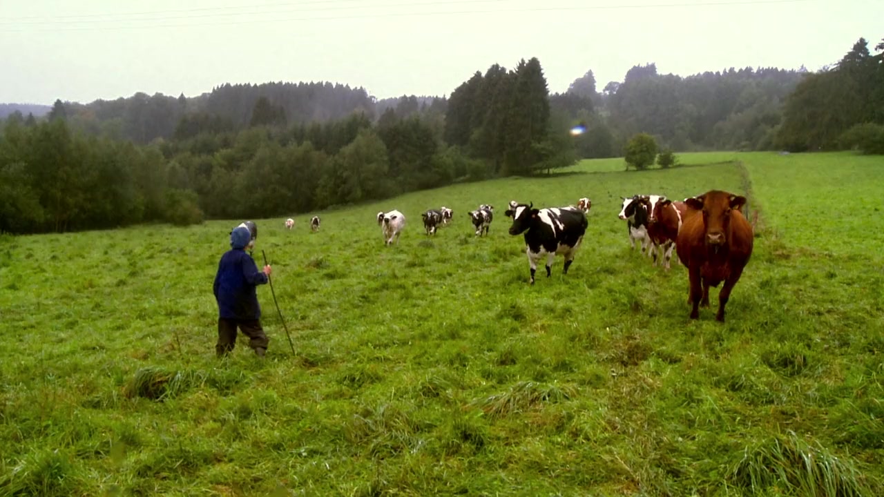 Manu screenshot 3